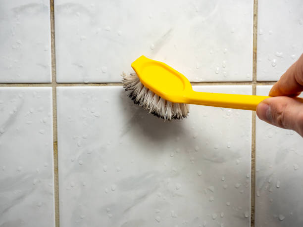 Best Residential Mold Removal  in Aurora, CO
