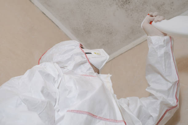 Best Mold Remediation  in Aurora, CO